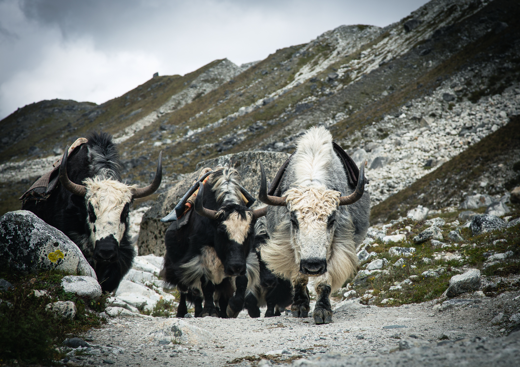 best time for Everest base camp trek